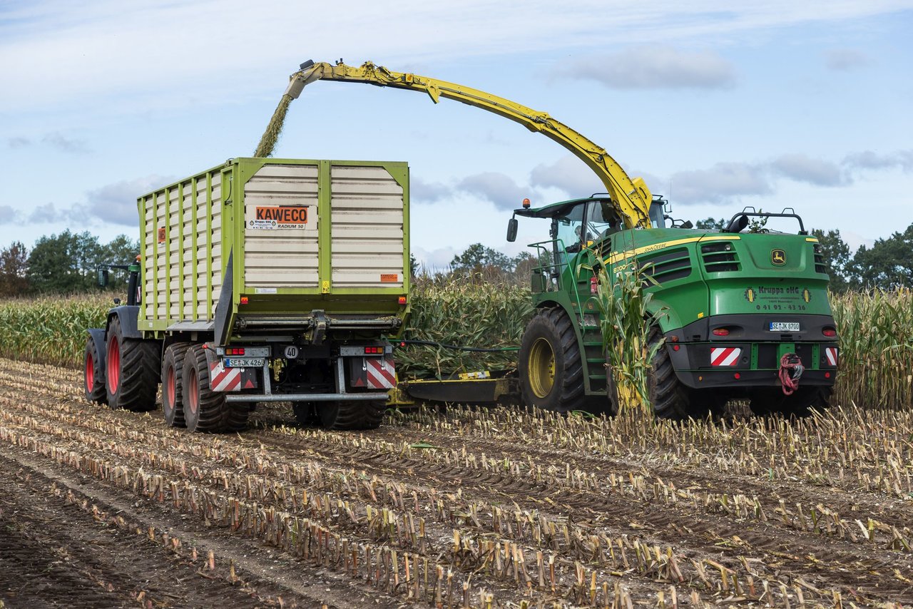 Bild 105 - Maisernte